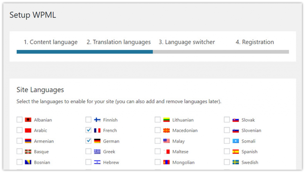 WordPress Multilingual Plugin to Create a Multilingual Website 11