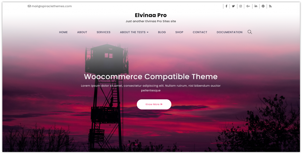 WordPress eCommerce themes