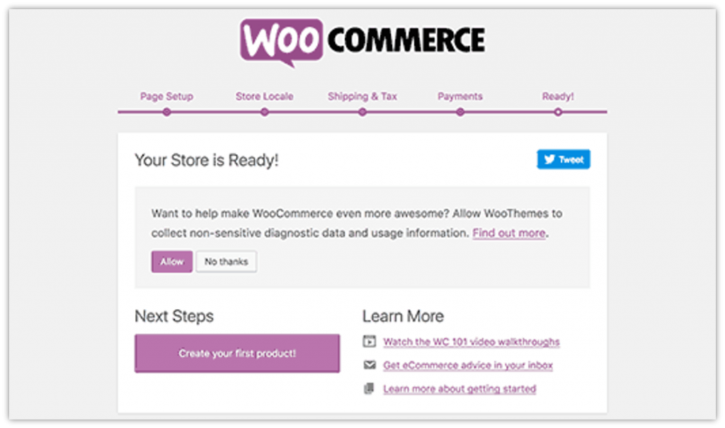 build an eCommerce website