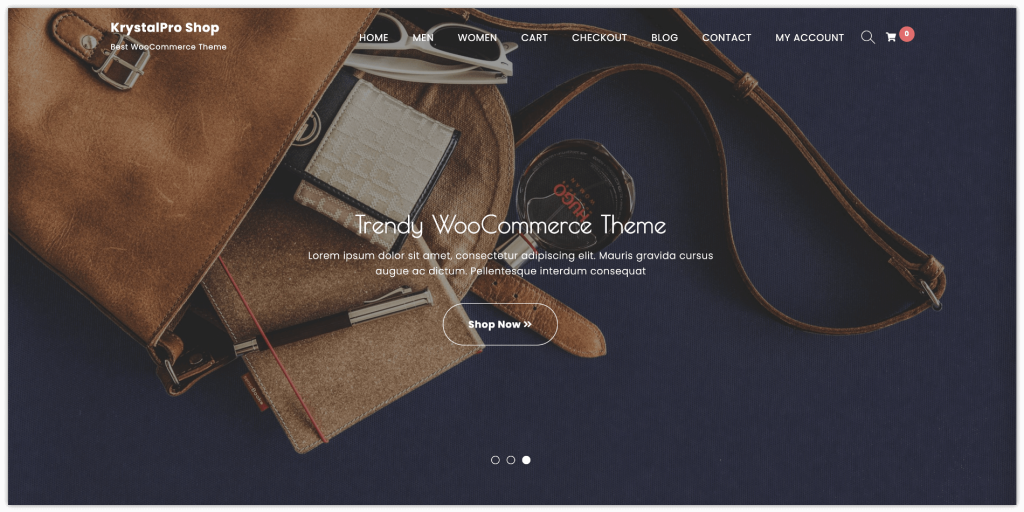 WordPress theme for eCommerce website