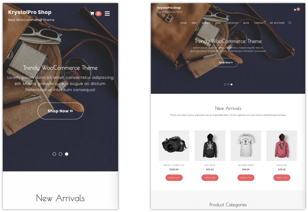 WordPress theme for eCommerce website