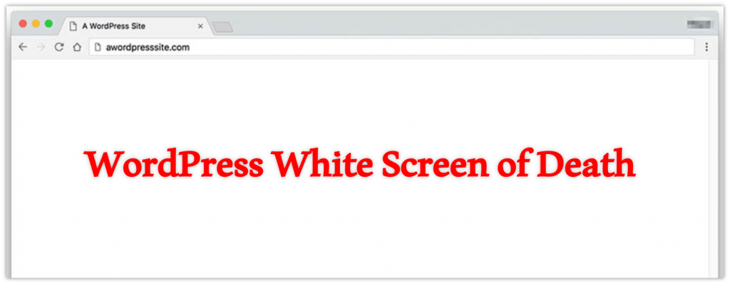Top 8 Most Common WordPress Errors and Their Fixes 1 most common WordPress errors – White Screen of Death