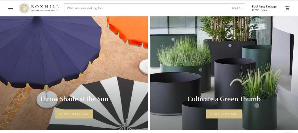 7 Powerful Designing Tips To Follow While Creating An eStore 2 image showing the website with few options